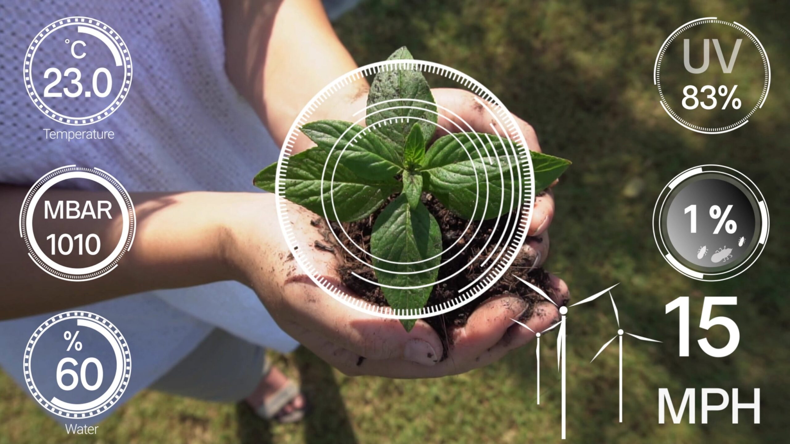 Introduction to Digital Agriculture