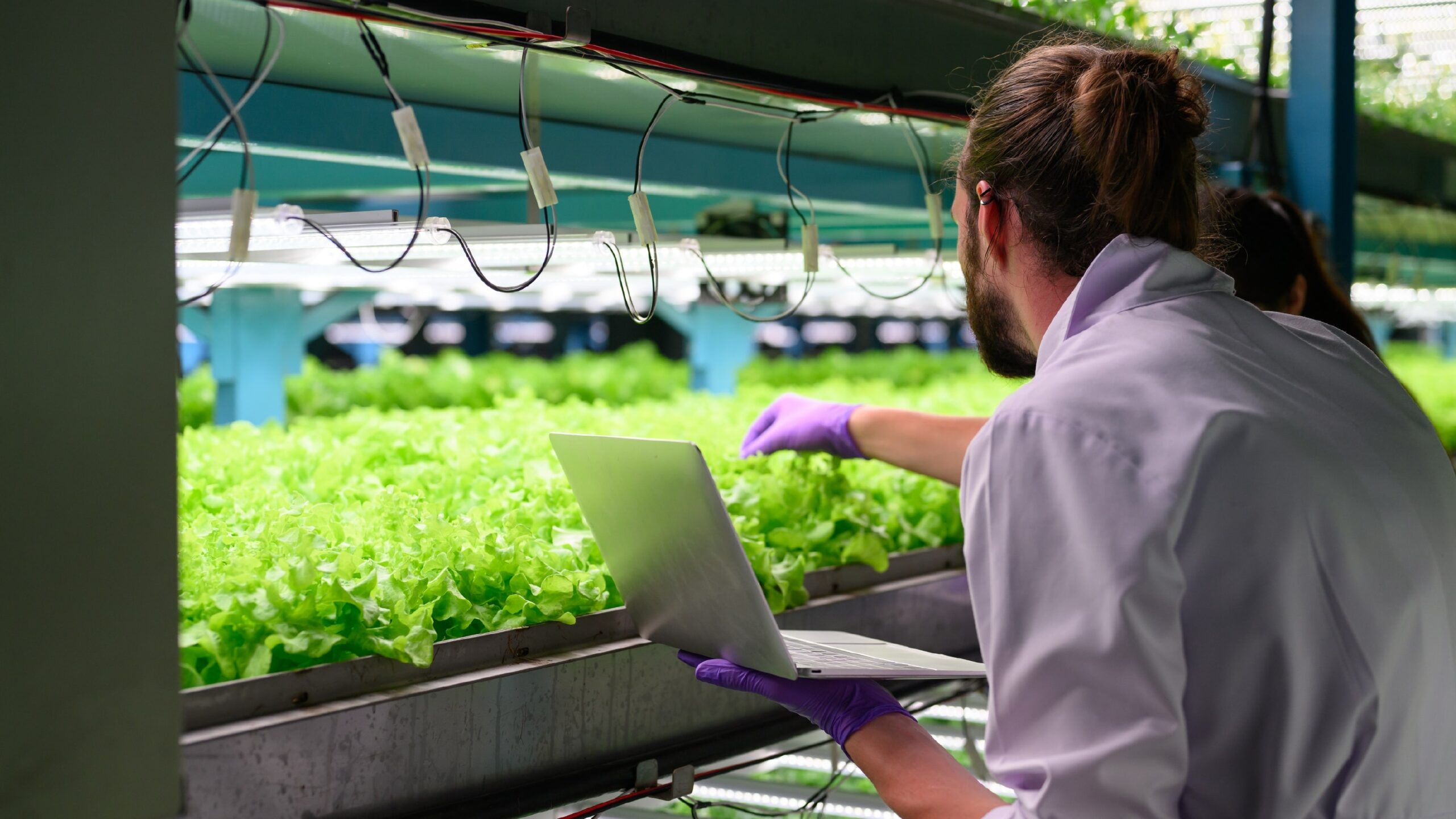 Success Stories in holistic smart agriculture