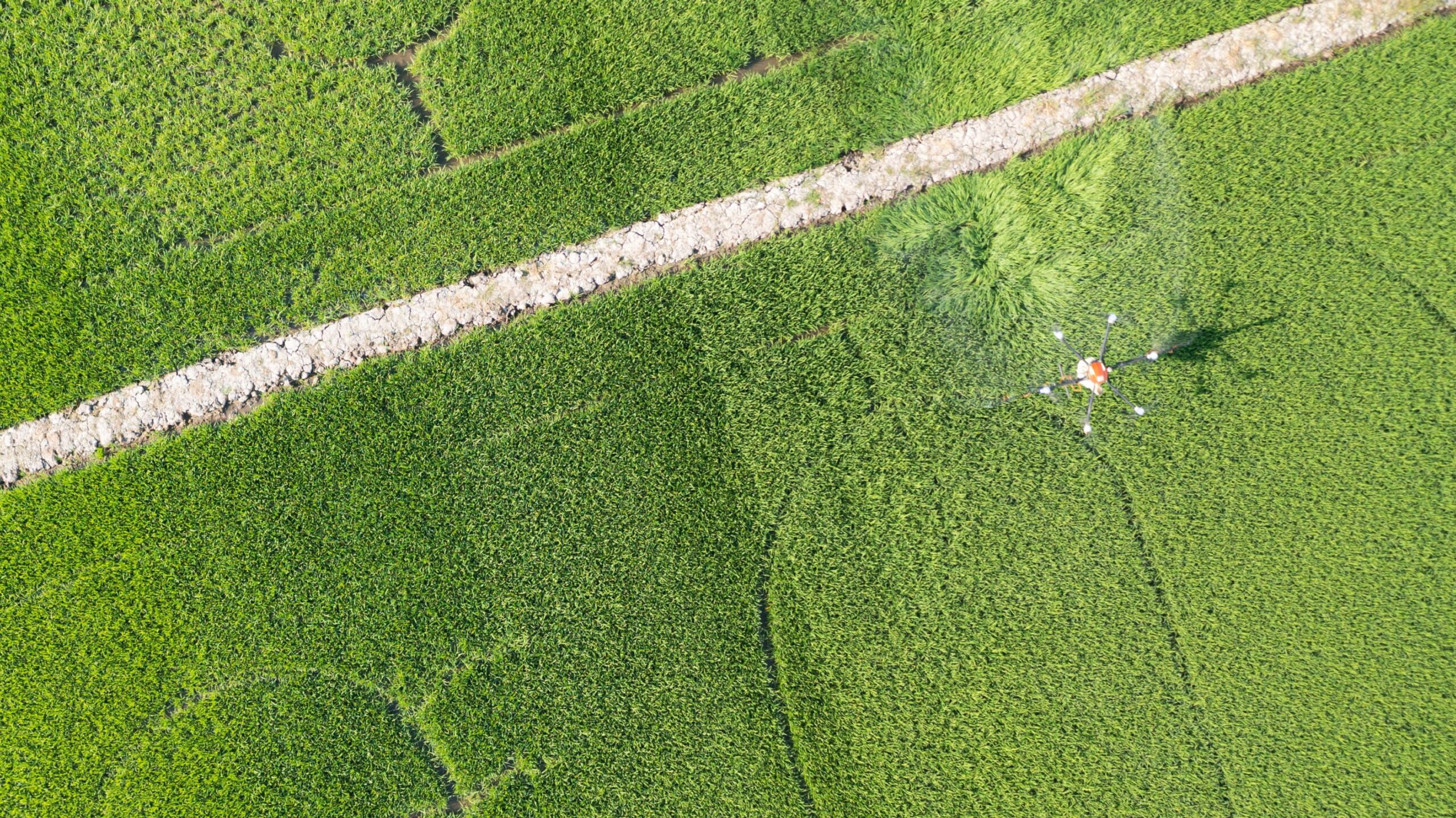 Supporting Smart Agriculture Adoption